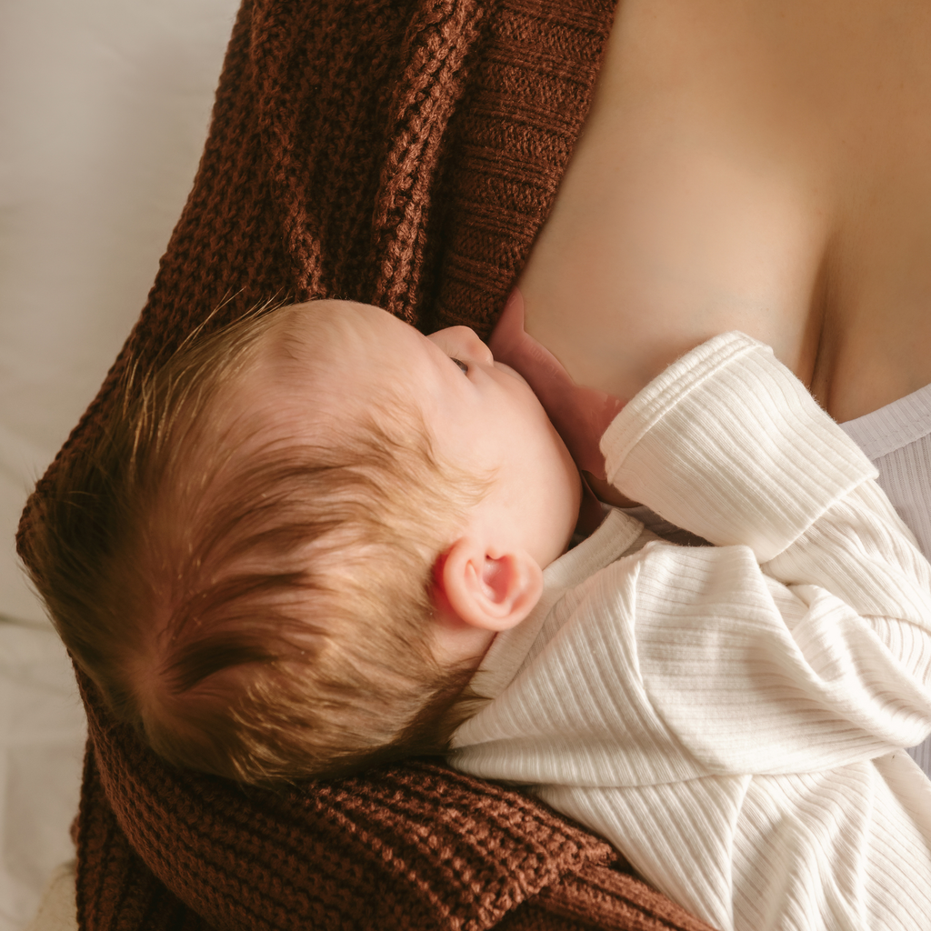 Le Lolo - Nipple Shield Set, 3 sizes in 1 | Breastfeeding, New Mom Blush